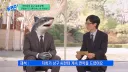 부산 친수공원 상어의 다음행보 예상