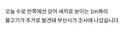 북항 상어가 안떠나는 이유