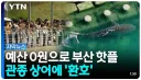 어딘가에는 폭력적인 부산 상어 관련 썸네일.jpg
