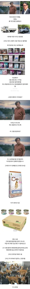 반려묘 용품샵에서 일하는 직원이 본 고양이 용품 사가는 손님들 관상