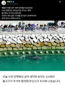 부산항 상어 심층 인터뷰가 필요한 수준 현재 상황 여러 설 등장 (펌)
