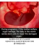 이 연구글을 보고 생각난 만화.manhwa
