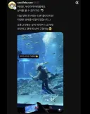 우리 상어도 보러 오라는 부산 아쿠아리움 게시물 댓글 상황.