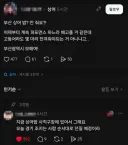 부산시가 상어한테 밥을 못 주는 이유