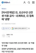 일본 정부 아시안게임 북한 선수단 신칸센 이용 금지시켜