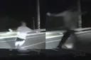 한국에서 외국인한테 차량 습격 당함.gif