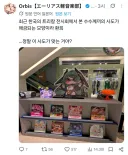 트릭컬) '한국 전시회에서 본 사도'가 드디어 나오나봐