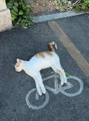 이혼한 애들한테 연락옴