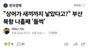 부산 앞바다 상어 출현 나흘째. 아기상어까지 출현