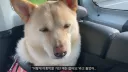 병원 의사에게 뚱뚱하다는 말을 들었어