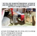 해외에서 조차 까고있는 아시안게임