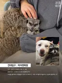서울 동물 체험 카페