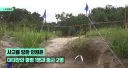 이번에 25사단 DMZ 내 지뢰폭발로 부상당한 분들