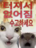 6시 칼퇴근 하려했던 나약한 유게이 근황