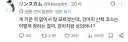의외로 정확한 개 키워본적 없는 사람의 의문