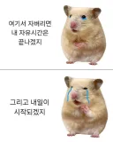 내가 많은거 안바라고