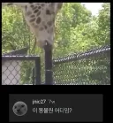 그저 기린이 기둥을 천천히 빠는 영상.mp4
