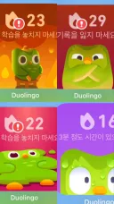 듀오링고 진짜 ㅈㄴ 웃기다 ㅋㅋㅋㅋㅋㅋㅋㅋㅋㅋ