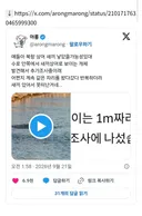 (부산 상어 새끼 소식에 호프 침투력.twt