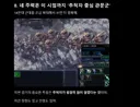 스타2 ) 지피티가 망가졌다