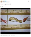 일본) 초밥 번역 대참사