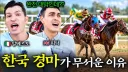 이번에 경마장에 다녀온 120만 국뽕 유튜브 채널의 근황.