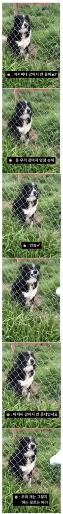 아저씨 개 안물어요?