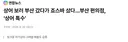 상어 보러 부산 갔다가 죠스바 샀다부산 편의점 상어