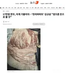 17만원 한우, 이게 기름이지…'천리마마트' 김규삼