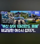 여수 섬박람회 근황