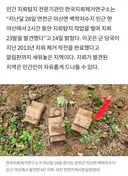 북쪽은 포장된 길 아니면 지뢰 조심해야 되요.