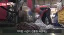 중국인이 실업급여 싹쓸이 했다고 보도한 KBS