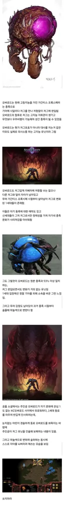 스타) 오버로드 함부로 죽이지 마라
