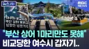 MBC 뉴스의 폭력적인 티배깅 ㅋㅋㅋㅋㅋ