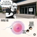 우리가 못생긴 이유