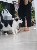 오랜 잠복끝에 찍었다.