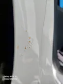현대 캐스퍼 부식 이슈