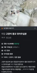 당근 알바 고양이 ㅇ꼬 닦아주실분 ㅋㅋ