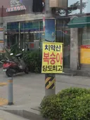 치악산 복숭아 당도 최고 코어 모음