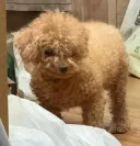 동물 사육사분들이 새삼 대단하네
