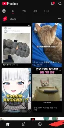 아니 시1발 구글 유튜브 새끼들