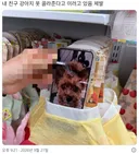 강아지 퍼컬 진단