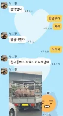 항문털 티비 레전드