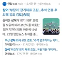 부산시 '추석 연휴까진 상어 체류 기다려 주겠다.'