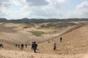 사막화가 아니라 녹지화때문에 고민이라는 사막