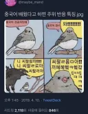 중국어 전공자들의 숙명.jpg