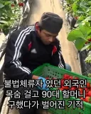 스리랑카 불법체류자 외국인은...