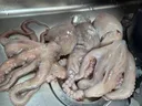 국산 문어 실하고 좋네요