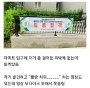 국가 자격험에 합격한 아내를 축하하려고 현수막 걸었을 뿐인데.jpg