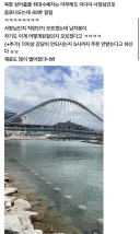 북항 상어출몰 최대 수혜자